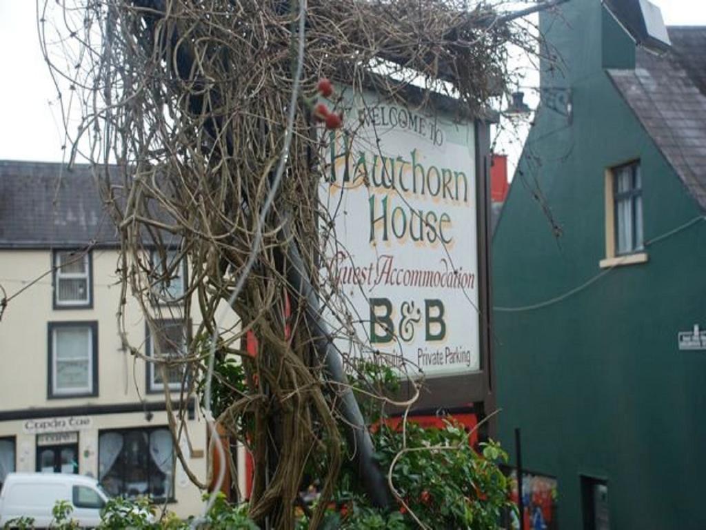 Hawthorn House Guesthouse Kenmare Eksteriør bilde